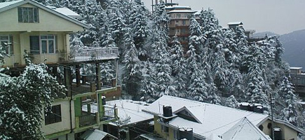 Shimla City Info